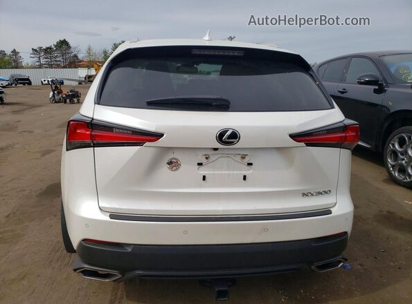 JTJBARBZ5J2167656 2018 LEXUS NX Белый Вид сзади