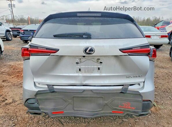 JTJBARBZ5K2186984 2019 LEXUS NX Silver Vista trasera