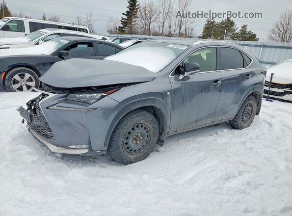 JTJBARBZ6H2145482 2017 LEXUS NX Silver Vista tres cuartos delantera izquierda