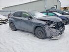 2017 Lexus Nx Silver vin: JTJBARBZ6H2145482