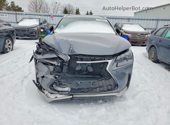 JTJBARBZ6H2145482 2017 LEXUS NX Silver Vista frontal