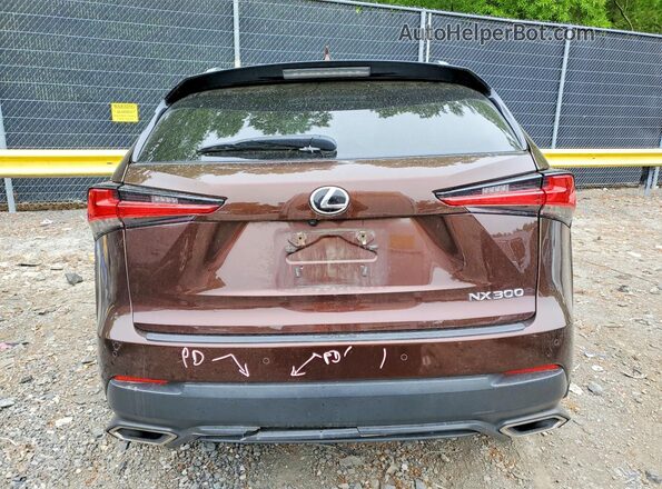 JTJBARBZ6K2191403 2019 LEXUS NX Коричневый Вид сзади