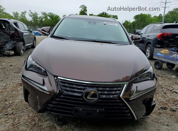 JTJBARBZ6K2191403 2019 LEXUS NX Коричневый Вид спереди