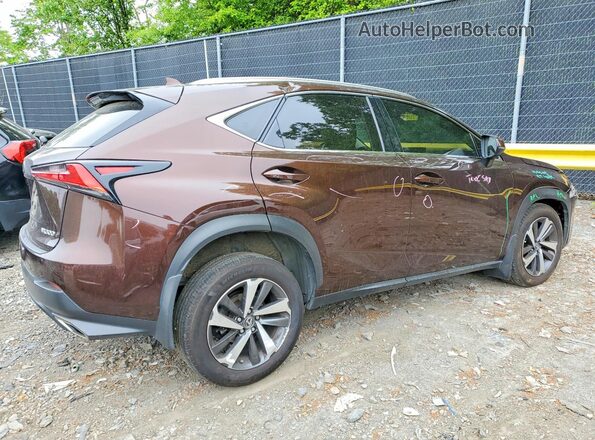 JTJBARBZ6K2191403 2019 LEXUS NX Коричневый Задняя правая четверть