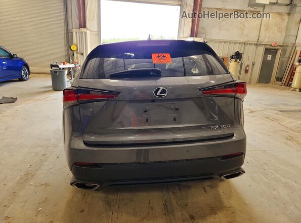 JTJBARBZ6K2199372 2019 LEXUS NX Gray უკანა ხედი
