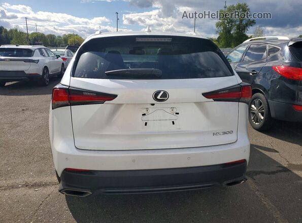 JTJBARBZ6K2215246 2019 LEXUS NX Белый Вид сзади