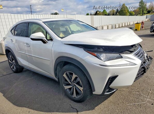 JTJBARBZ6K2215246 2019 LEXUS NX Белый Передняя правая четверть