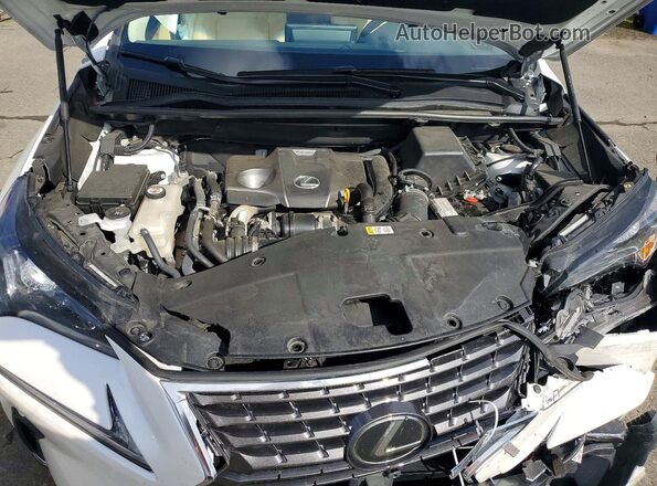 JTJBARBZ6K2215246 2019 LEXUS NX Белый Вид задней части салона