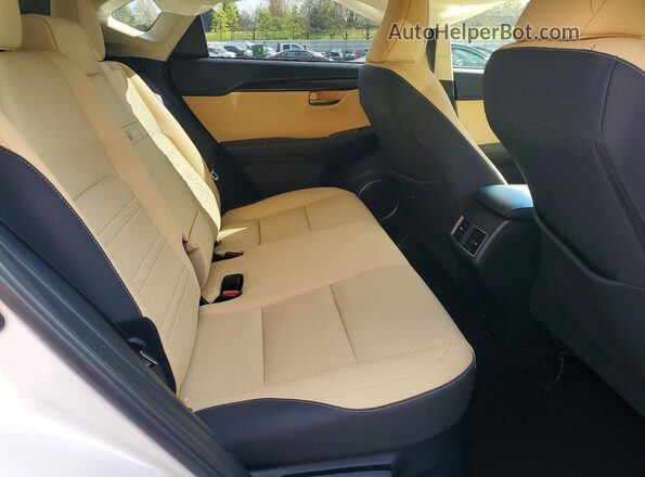 JTJBARBZ6K2215246 2019 LEXUS NX Белый Вид задних сидений