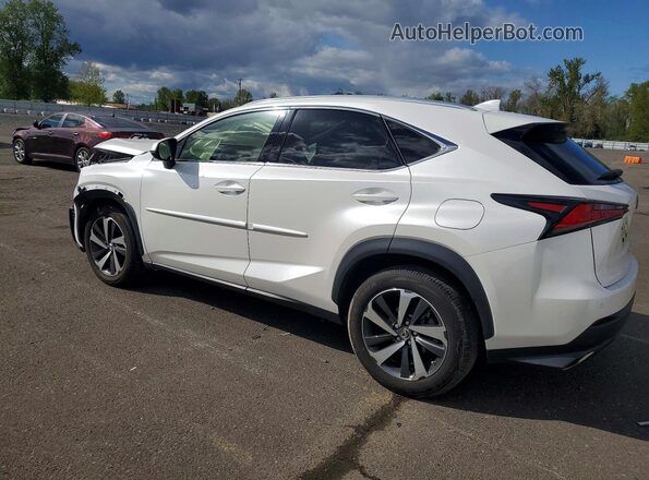 JTJBARBZ6K2215246 2019 LEXUS NX Белый Задняя левая четверть