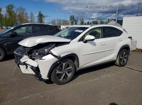 JTJBARBZ6K2215246 2019 LEXUS NX Белый Передняя левая четверть