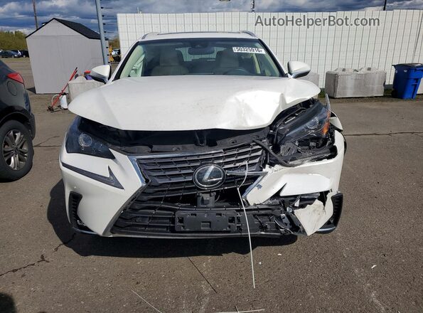 JTJBARBZ6K2215246 2019 LEXUS NX Белый Вид спереди