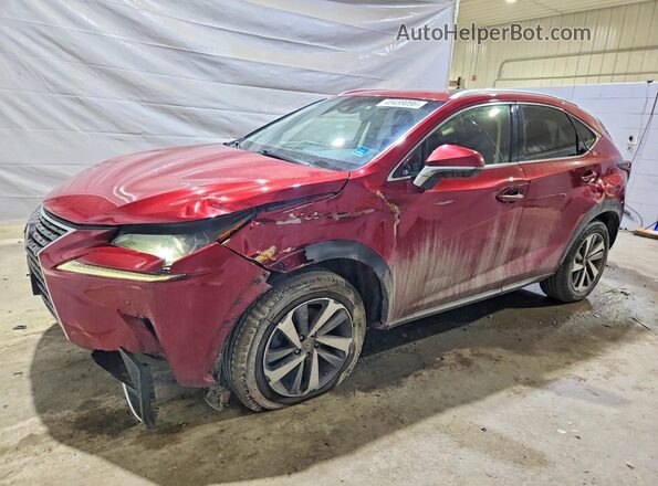 JTJBARBZ8K2181875 2019 LEXUS NX Burgundy Vista tres cuartos delantera izquierda