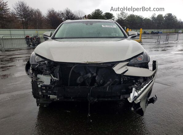 JTJBARBZ8K2182248 2019 LEXUS NX Серебряный Вид спереди