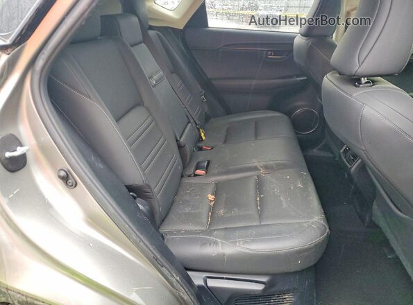 JTJBARBZ8K2182248 2019 LEXUS NX Серебряный Вид задней части салона