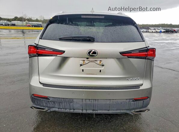 JTJBARBZ8K2182248 2019 LEXUS NX Серебряный Вид сзади
