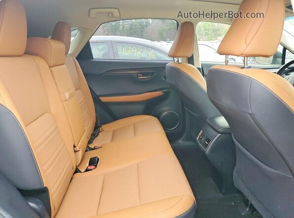 JTJBARBZ8K2213076 2019 LEXUS NX Black Vista interior trasera