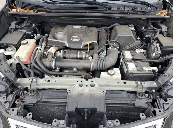 JTJBARBZ8K2213076 2019 LEXUS NX Black Vista del compartimento del motor