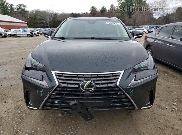 JTJBARBZ8K2213076 2019 LEXUS NX Black Vista frontal