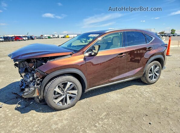 JTJBARBZ9K2202698 2019 LEXUS NX Коричневый Передняя левая четверть