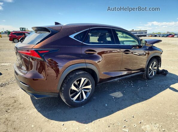 JTJBARBZ9K2202698 2019 LEXUS NX Коричневый Задняя правая четверть