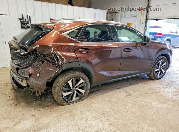 JTJBARBZXK2214486 2019 LEXUS NX Коричневый Задняя правая четверть