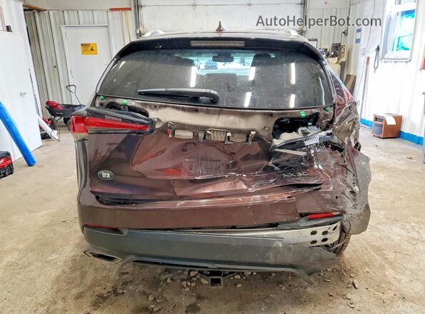 JTJBARBZXK2214486 2019 LEXUS NX Коричневый Вид сзади