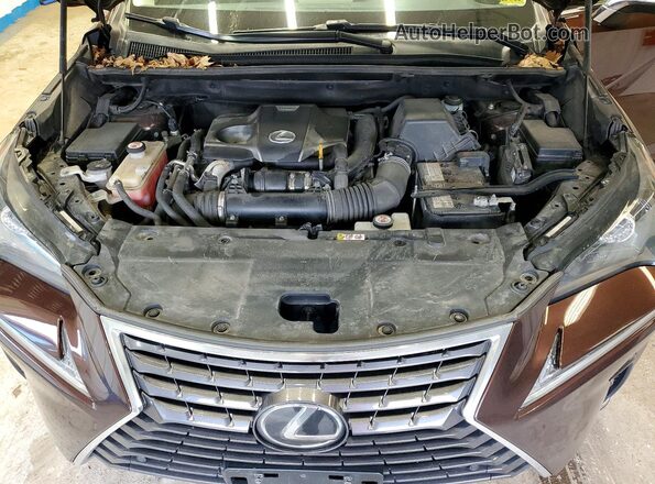 JTJBARBZXK2214486 2019 LEXUS NX Коричневый Вид подкапотного пространства