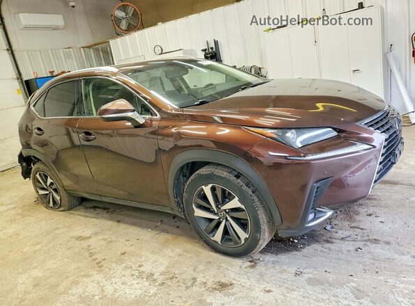 JTJBARBZXK2214486 2019 LEXUS NX Коричневый Передняя правая четверть