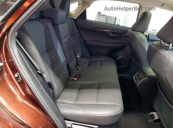 JTJBARBZXK2214486 2019 LEXUS NX Коричневый Вид задней части салона