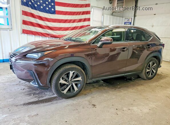 JTJBARBZXK2214486 2019 LEXUS NX Коричневый Передняя левая четверть