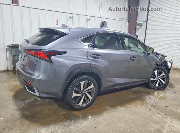 JTJBJRBZ0K2115031 2019 LEXUS NX Gray უკანა მარჯვენა