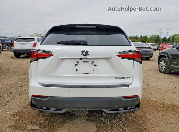 JTJBJRBZ4H2056431 2017 LEXUS NX White Widok z tyłu