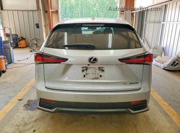 JTJBJRBZXK2114579 2019 LEXUS NX Серебряный Вид сзади