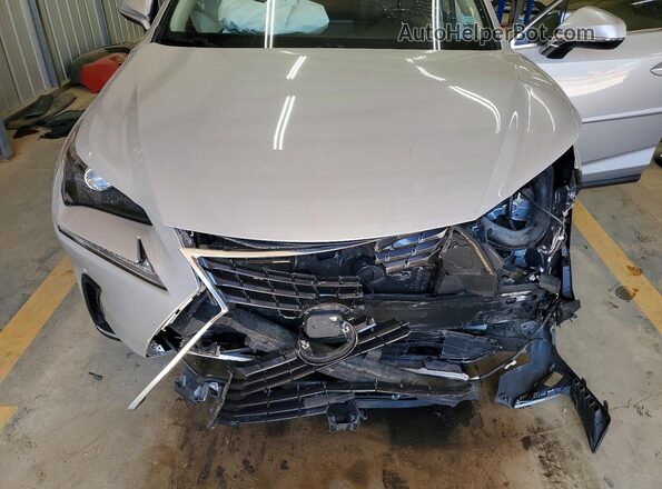 JTJBJRBZXK2114579 2019 LEXUS NX Серебряный Вид подкапотного пространства