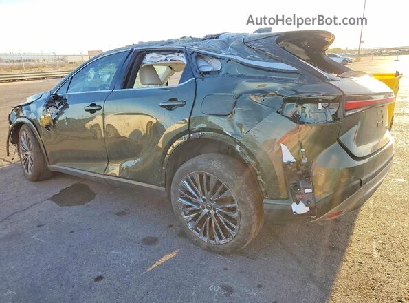 JTJCJMGA3R2016675 2024 LEXUS RX Зеленый Задняя левая четверть