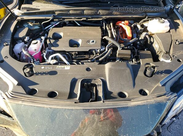 JTJCJMGA3R2016675 2024 LEXUS RX Зеленый Вид задней части салона
