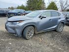 2021 Lexus Nx 300 Base Gray vin: JTJDARBZ0M2183583 2021 Lexus Nx 300 Base Gray vin: JTJDARBZ0M2183583
