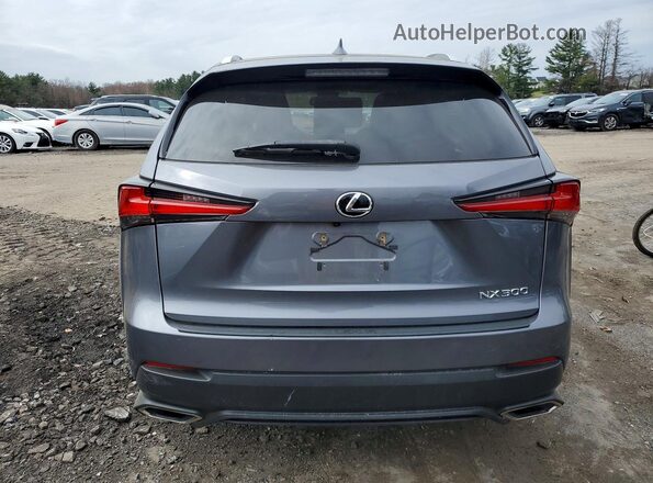 JTJDARBZ0M2183583 2021 LEXUS NX Gray Widok z tyłu