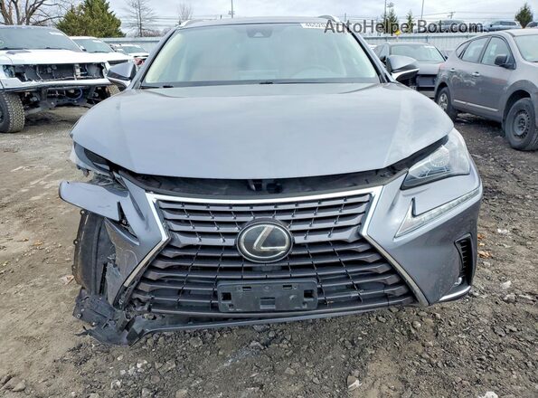 JTJDARBZ0M2183583 2021 LEXUS NX Gray Widok z przodu