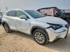 2021 Lexus Nx 300 Base White vin: JTJDARBZ0M5031043