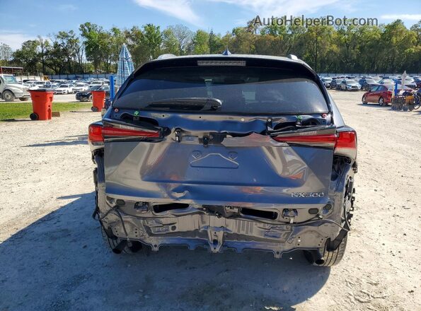 JTJDARBZ3L5004014 2020 LEXUS NX Gray უკანა ხედი