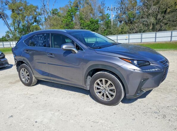 JTJDARBZ3L5004014 2020 LEXUS NX Gray წინა მარჯვენა