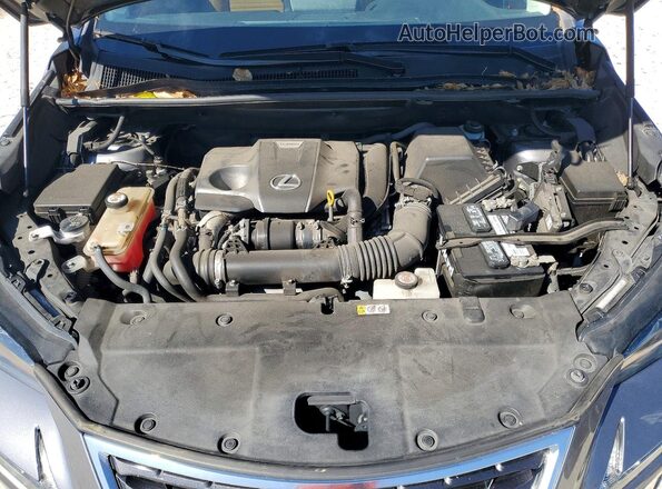 JTJDARBZ3L5004014 2020 LEXUS NX Gray ძრავის განყოფილების ხედი