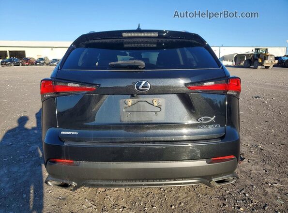 JTJDARBZ3M2197848 2021 LEXUS NX Black Вид ззаду