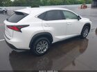 2021 Lexus Nx 300   Белый vin: JTJDARBZ4M5030820