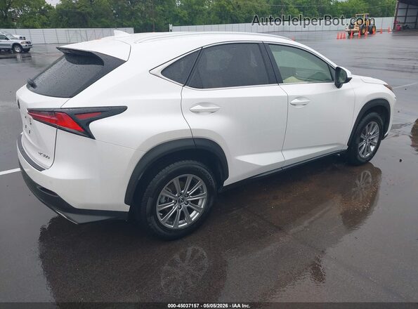 JTJDARBZ4M5030820 2021 LEXUS NX 300 Белый Задняя правая четверть