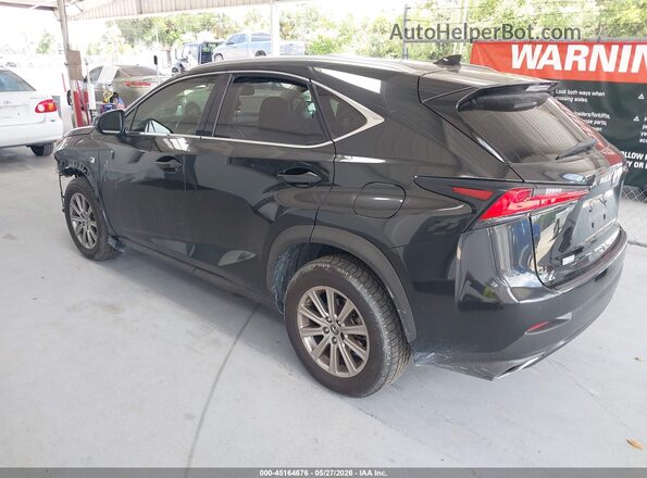 JTJDARBZ5L5001616 2020 LEXUS NX 300 Black უკანა მარცხენა
