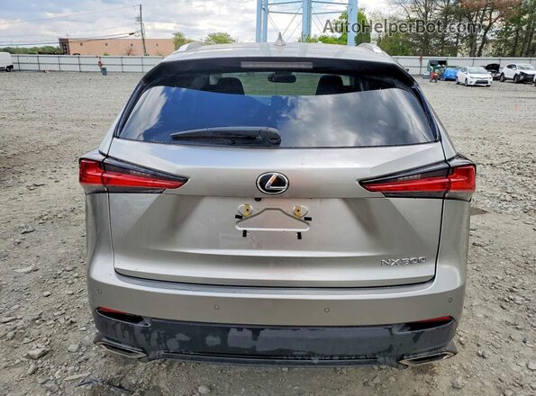 JTJDARDZ1M2253699 2021 LEXUS NX Silver Вид ззаду