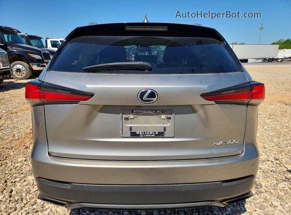 JTJDARDZ2M2236460 2021 LEXUS NX Серебряный Вид сзади